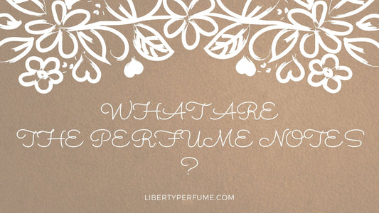 What Are The Perfume Notes?