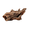 Agarwood