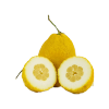 Amalfi Lemon