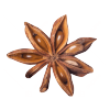 Anise