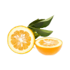 Bitter Orange