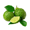 Calabrian Bergamot