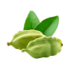 Cardamom