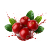 Cranberry