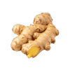 Ginger