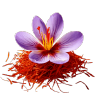 Saffron