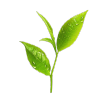 Tea Leaves