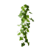 Vine